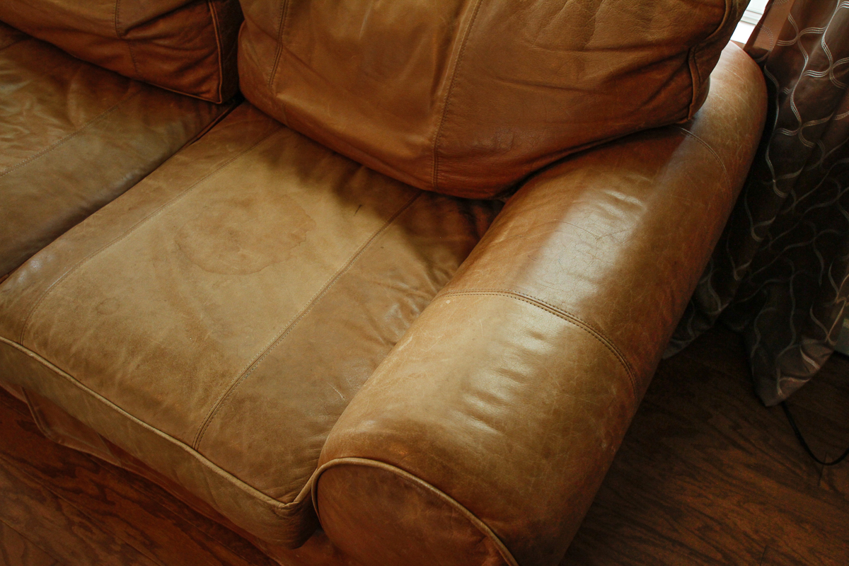 Contemporary Brown Leather Sofa