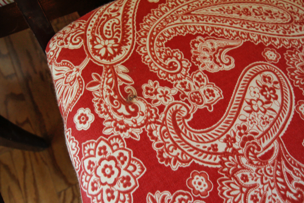 Queen Anne Style Fiddle Back Dining Chairs