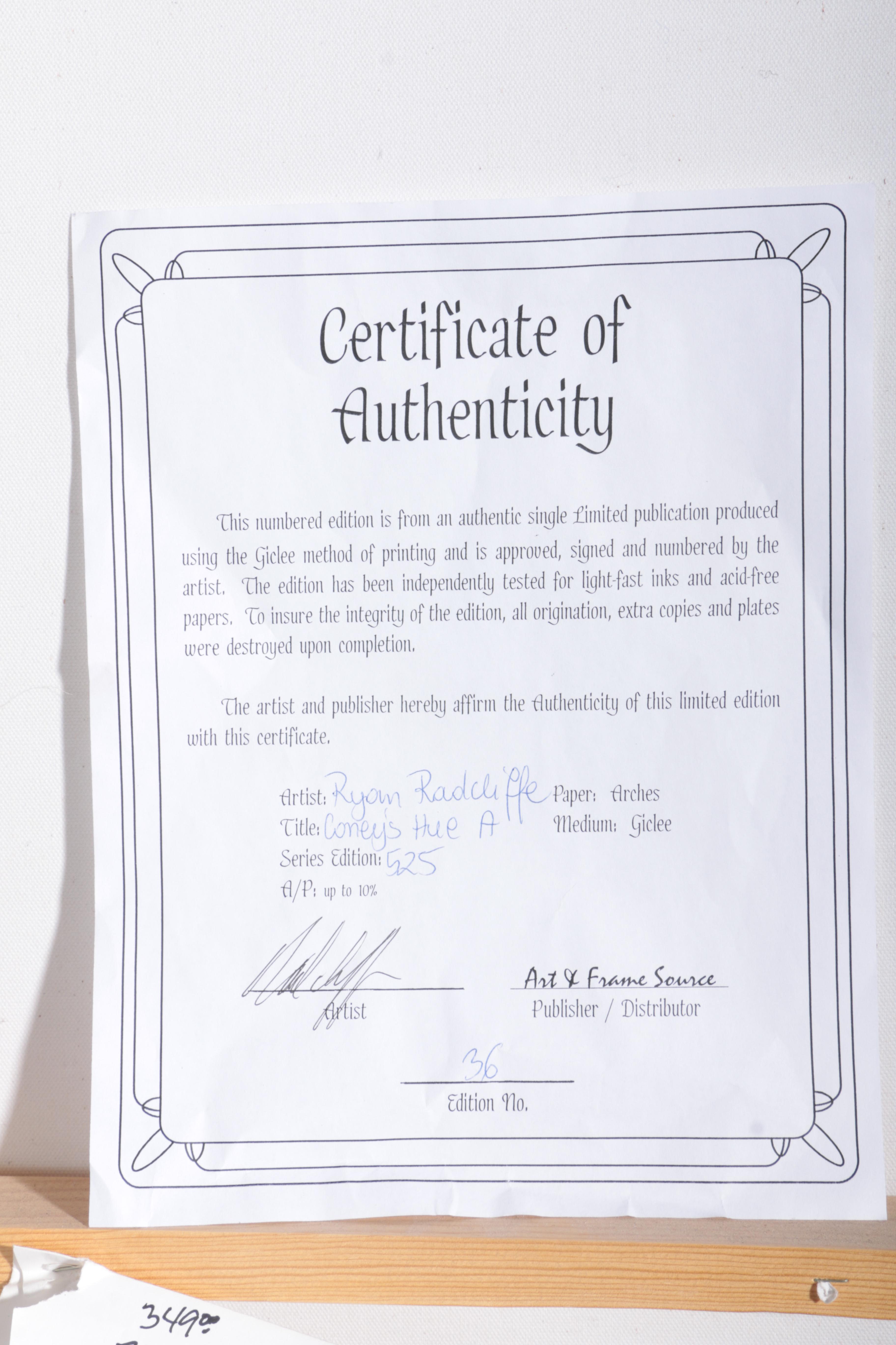 Limited Edition Embellished Giclee by Ryan Radcliffe "Coney's Hue A"