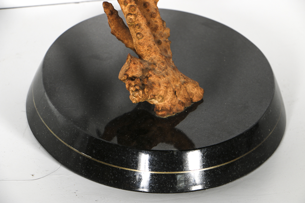 Robert Wyland Limited Edition Bronze Sculpture "Genesis"