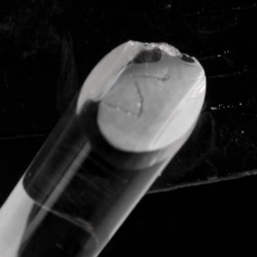 Steuben Glass Strawberries