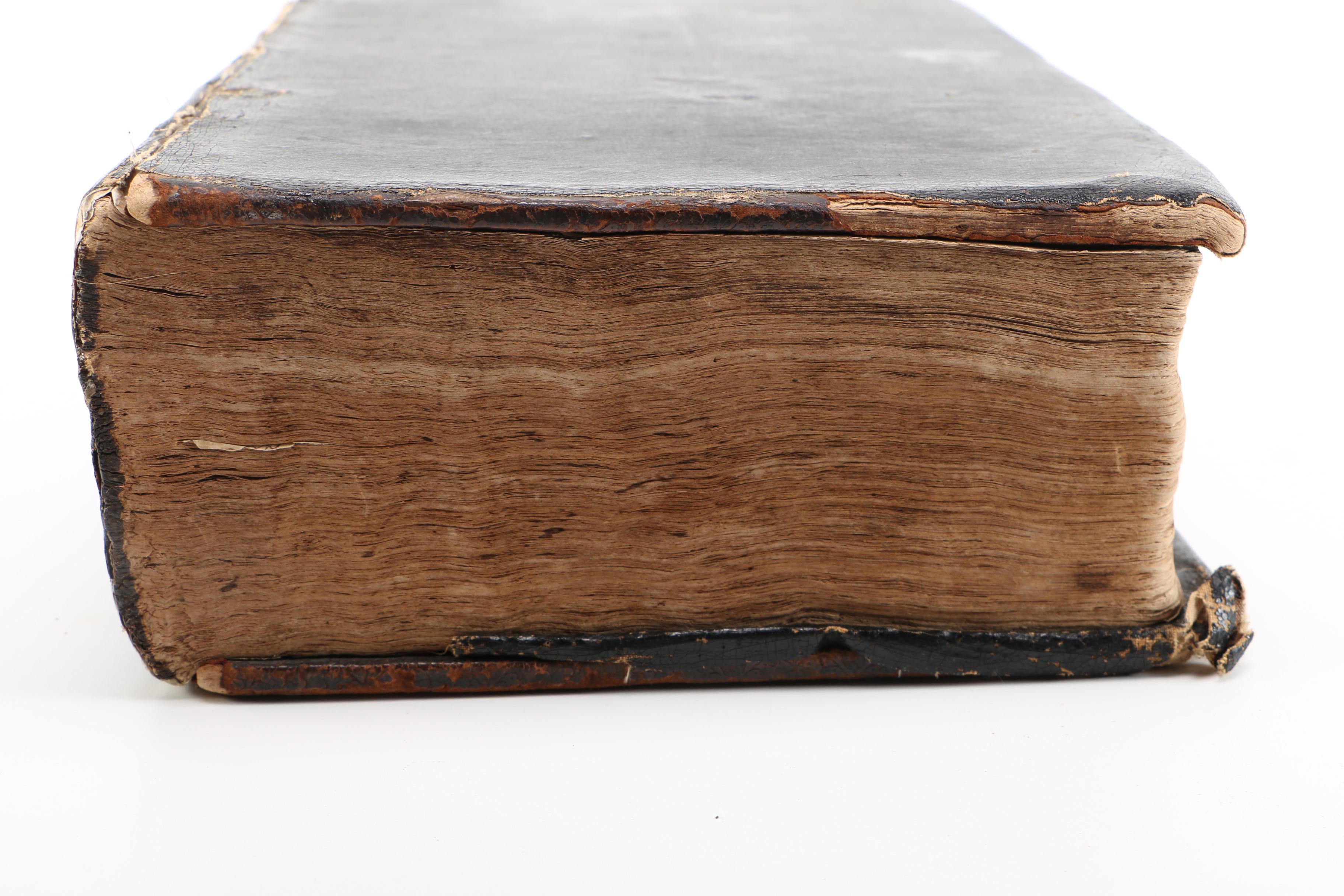 17th Century "Herball, or Generall Historie of Plantes" by John Gerard