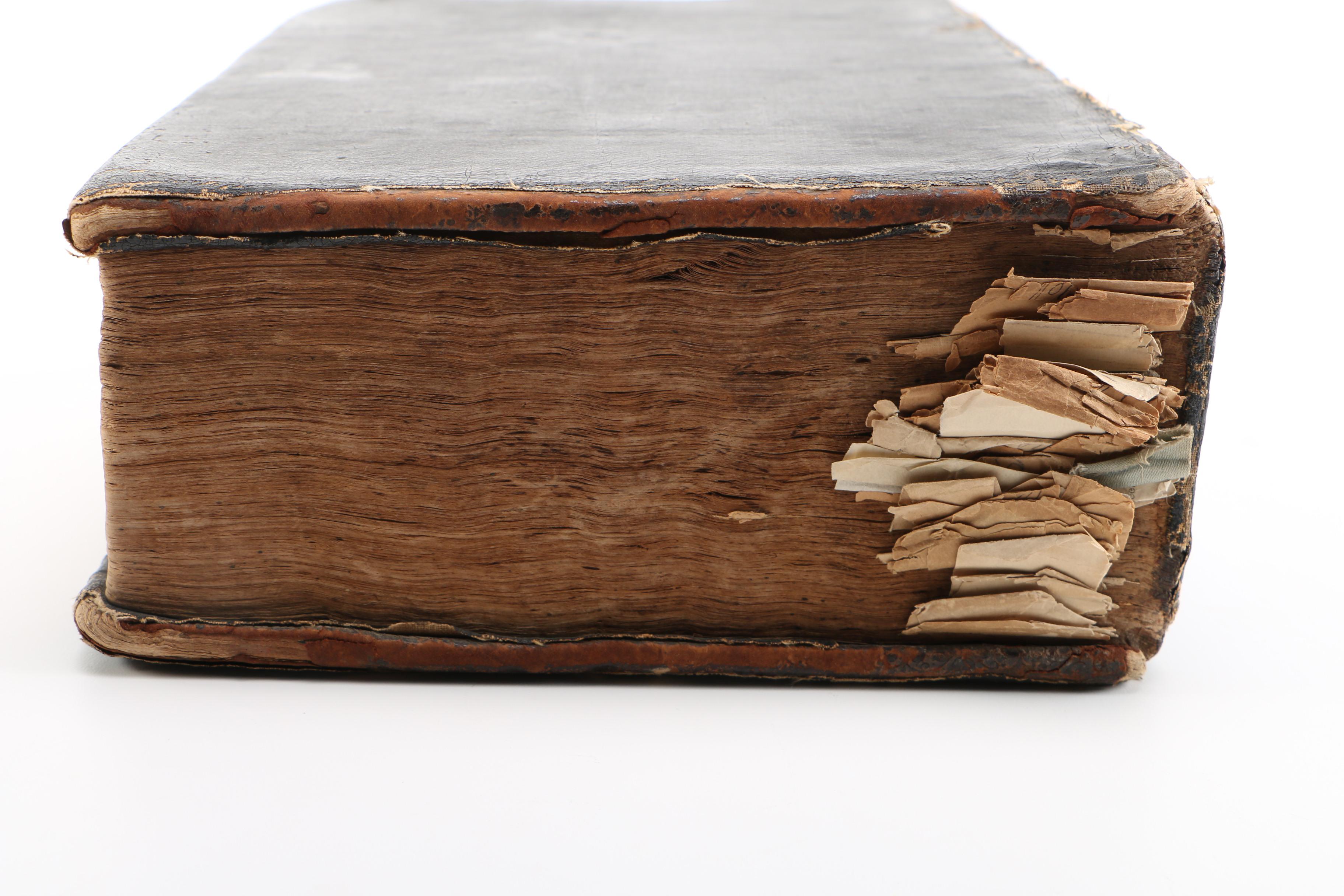 17th Century "Herball, or Generall Historie of Plantes" by John Gerard