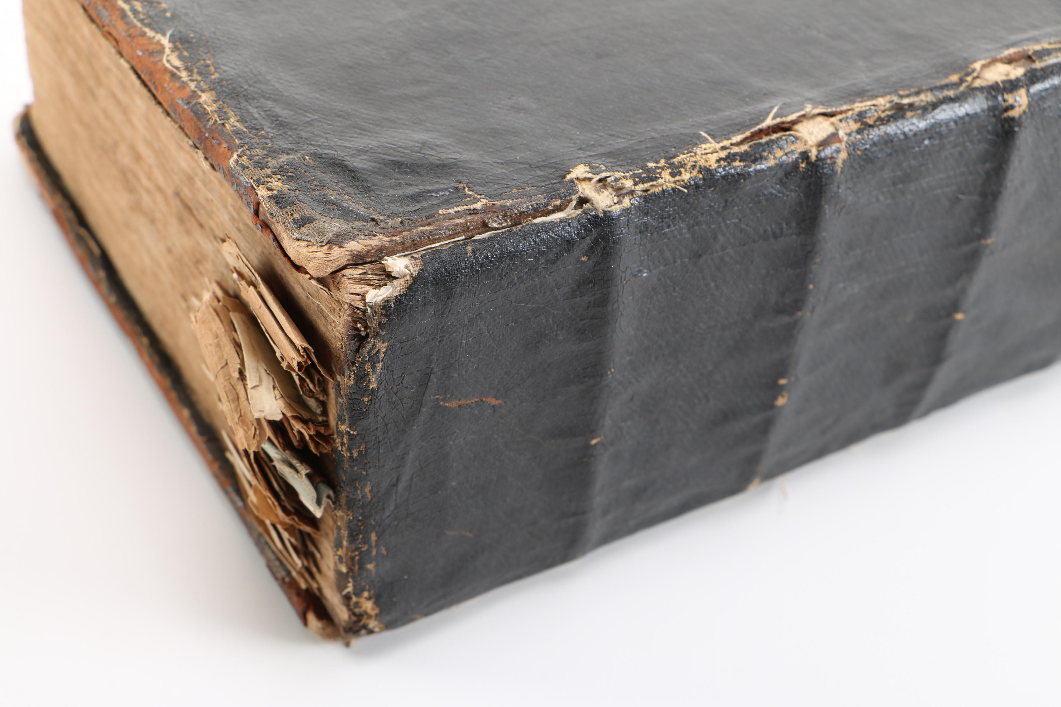 17th Century "Herball, or Generall Historie of Plantes" by John Gerard