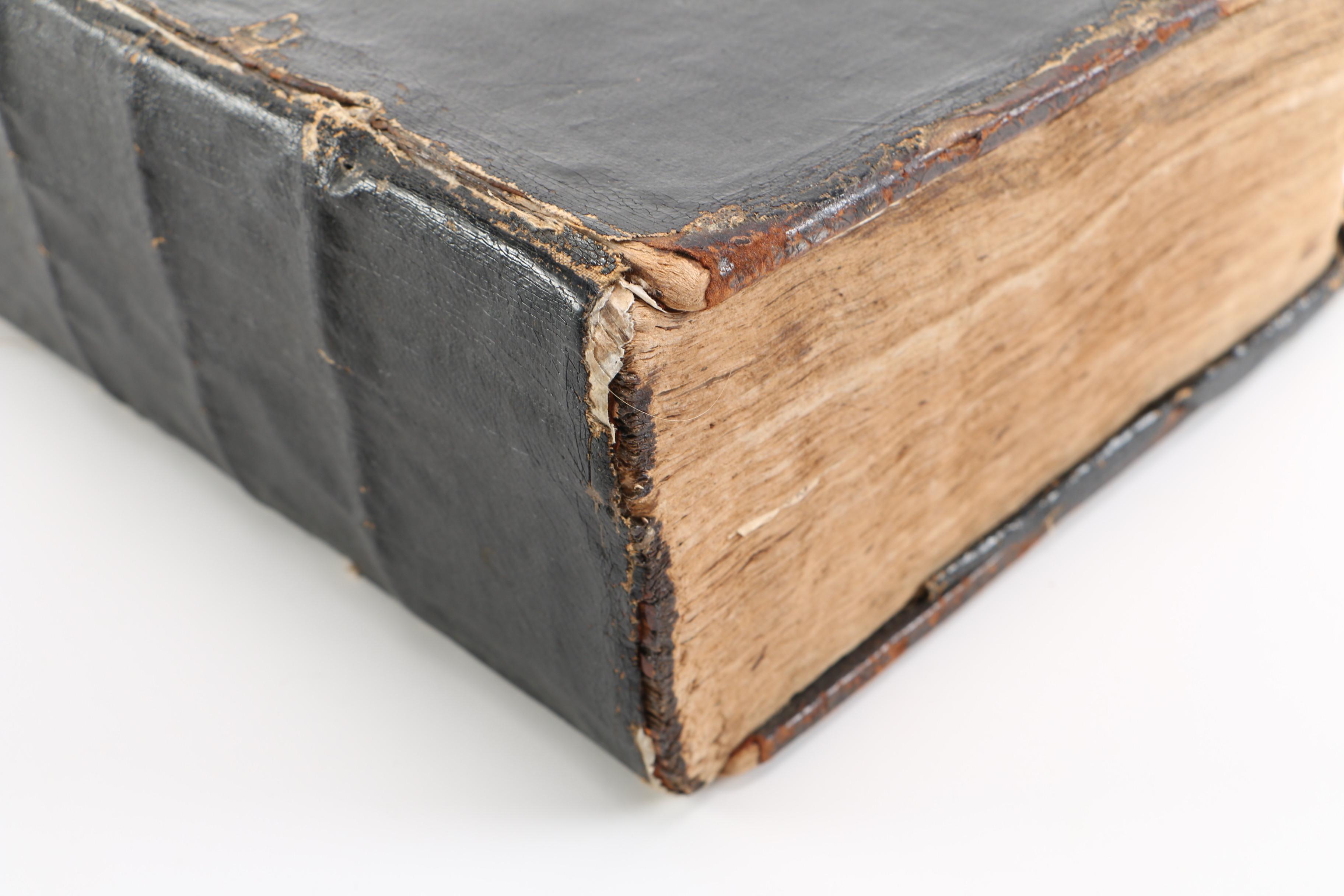 17th Century "Herball, or Generall Historie of Plantes" by John Gerard