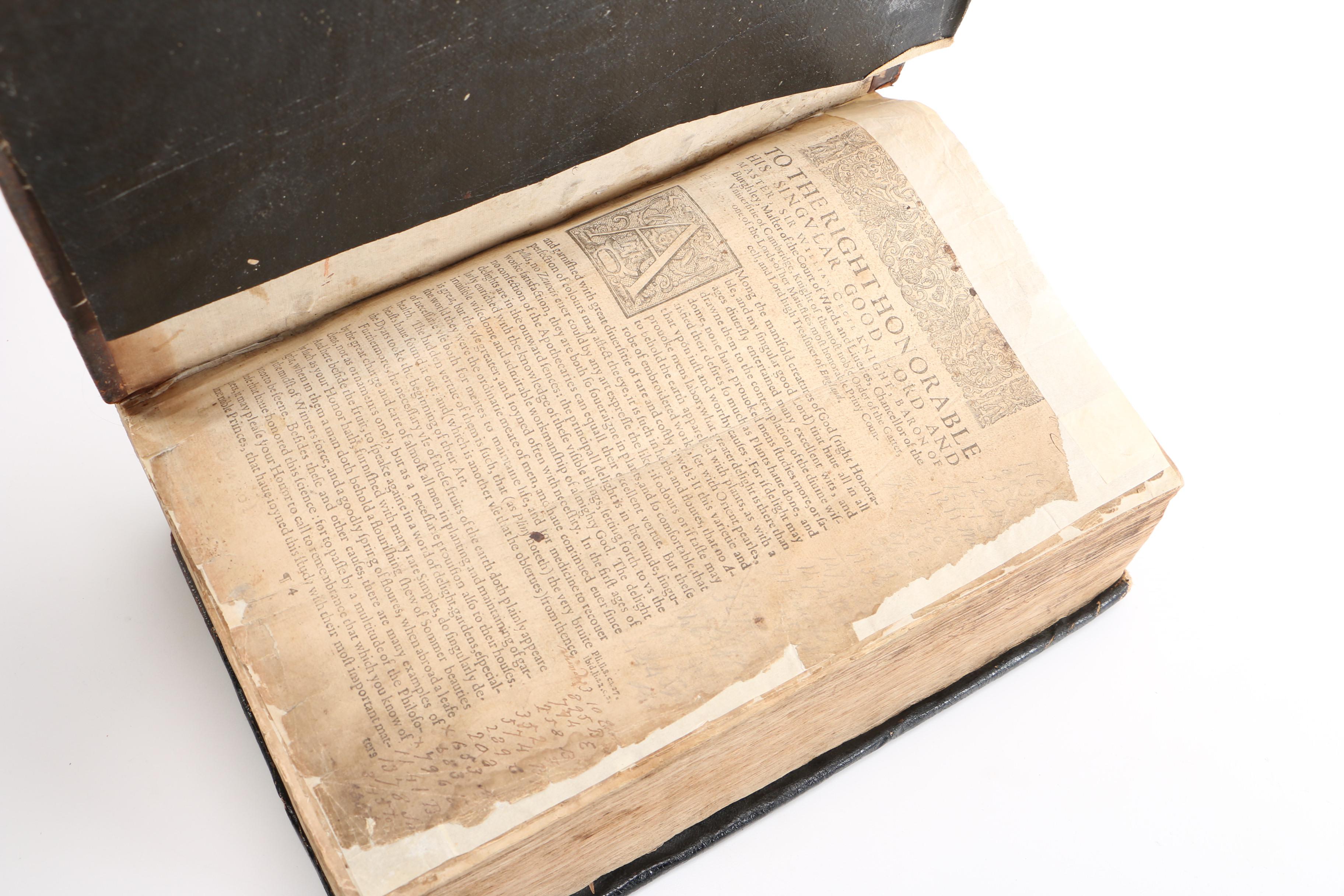 17th Century "Herball, or Generall Historie of Plantes" by John Gerard