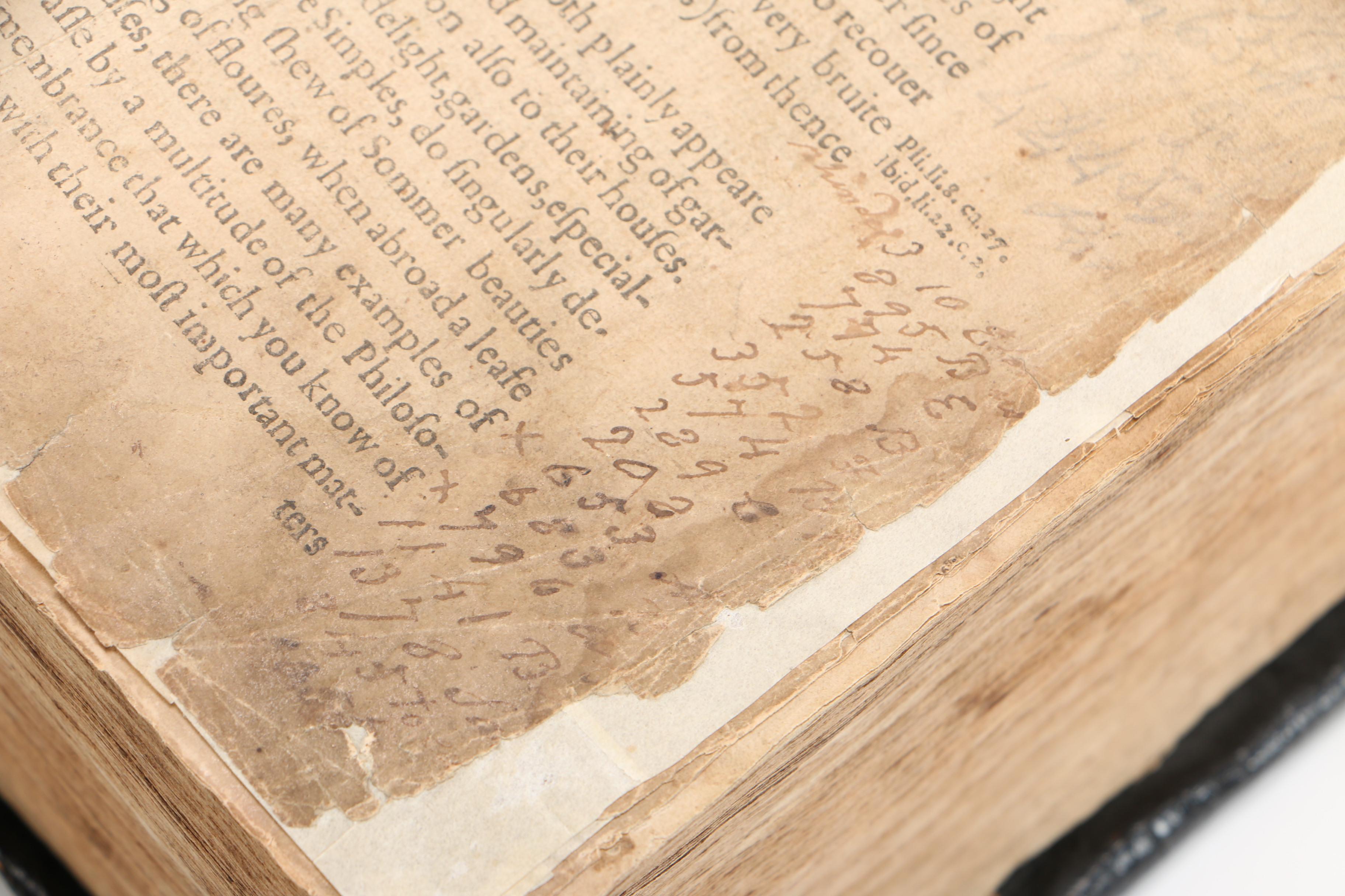 17th Century "Herball, or Generall Historie of Plantes" by John Gerard