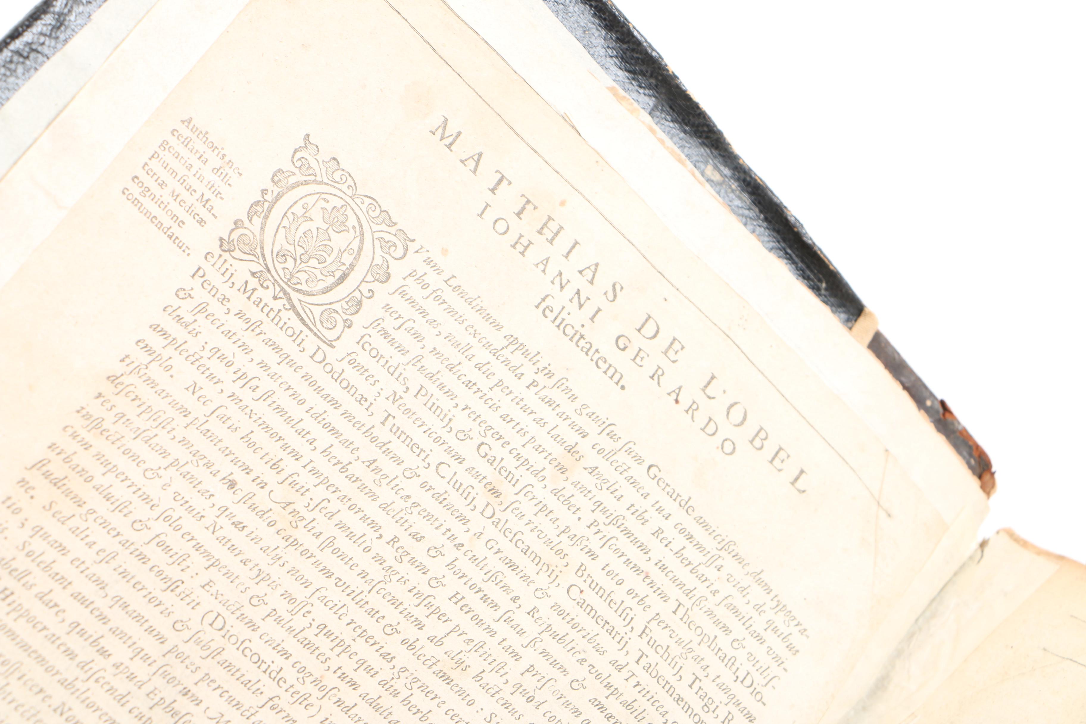 17th Century "Herball, or Generall Historie of Plantes" by John Gerard