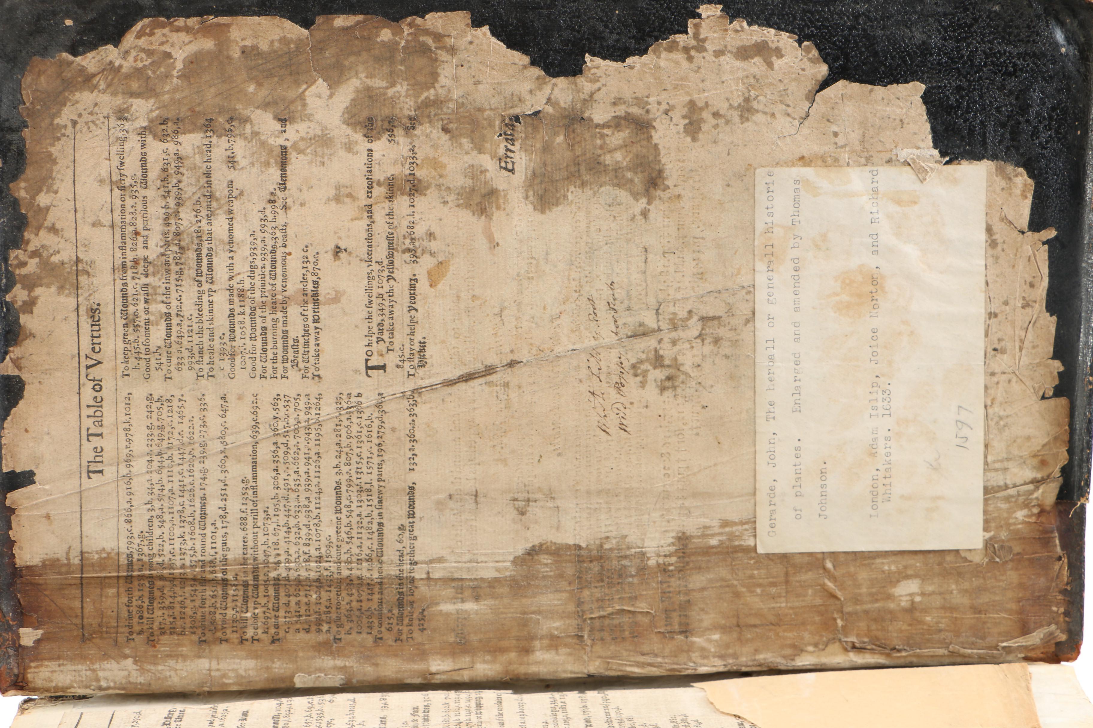 17th Century "Herball, or Generall Historie of Plantes" by John Gerard