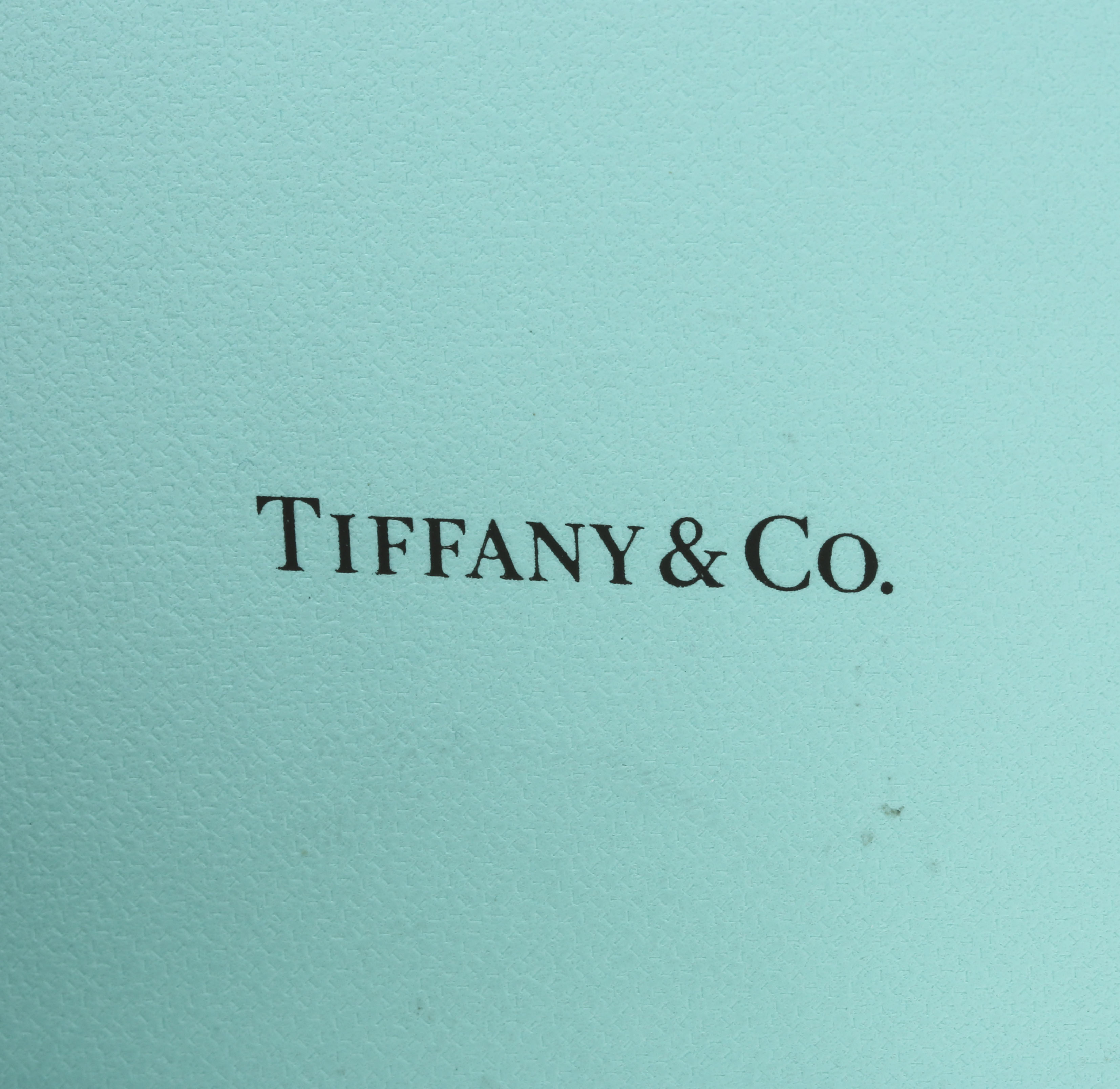 Tiffany & Co. Platinum and 1.74 Carat Diamond Solitaire Necklace