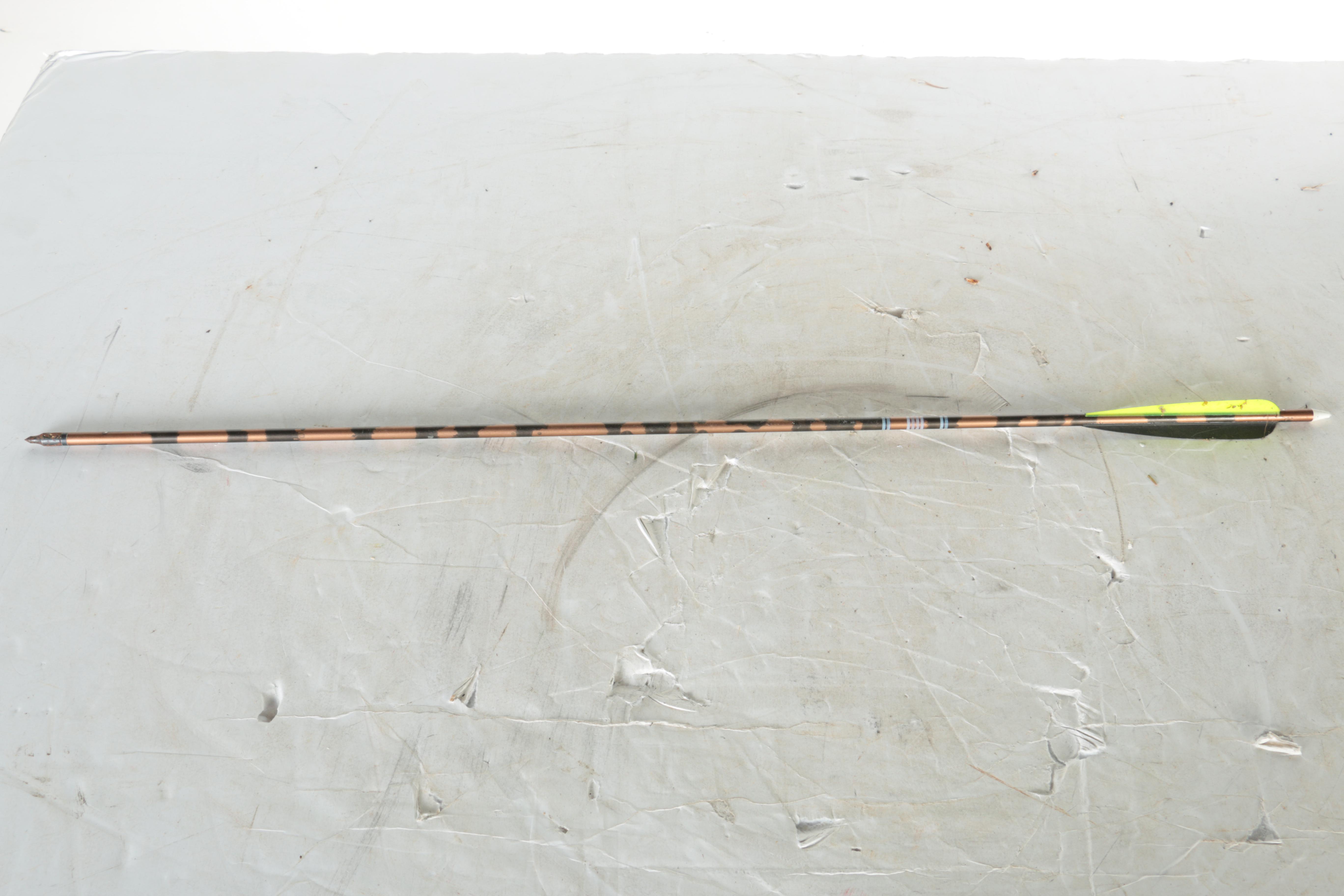 Compound Bow With Two Cases