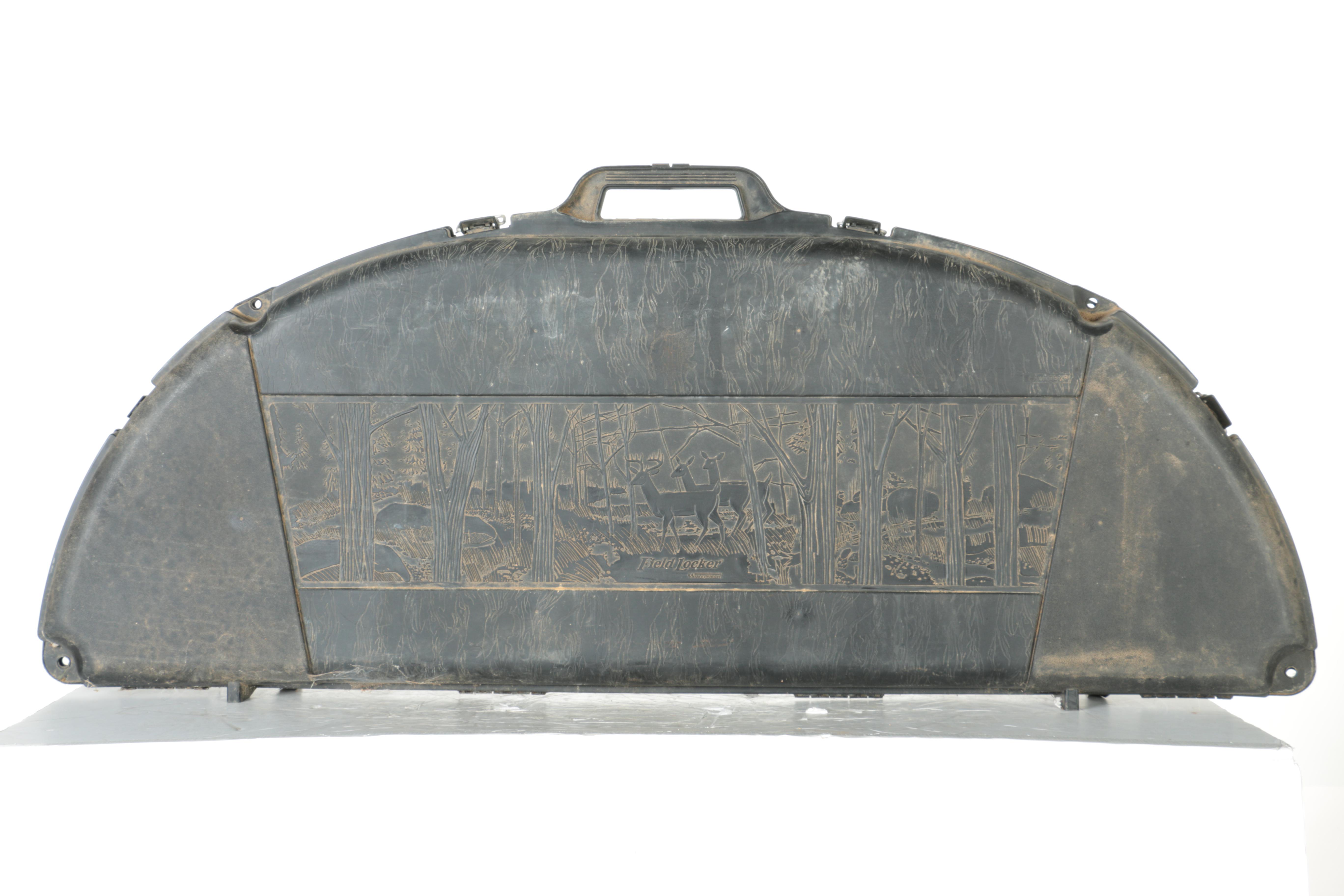 Compound Bow With Two Cases