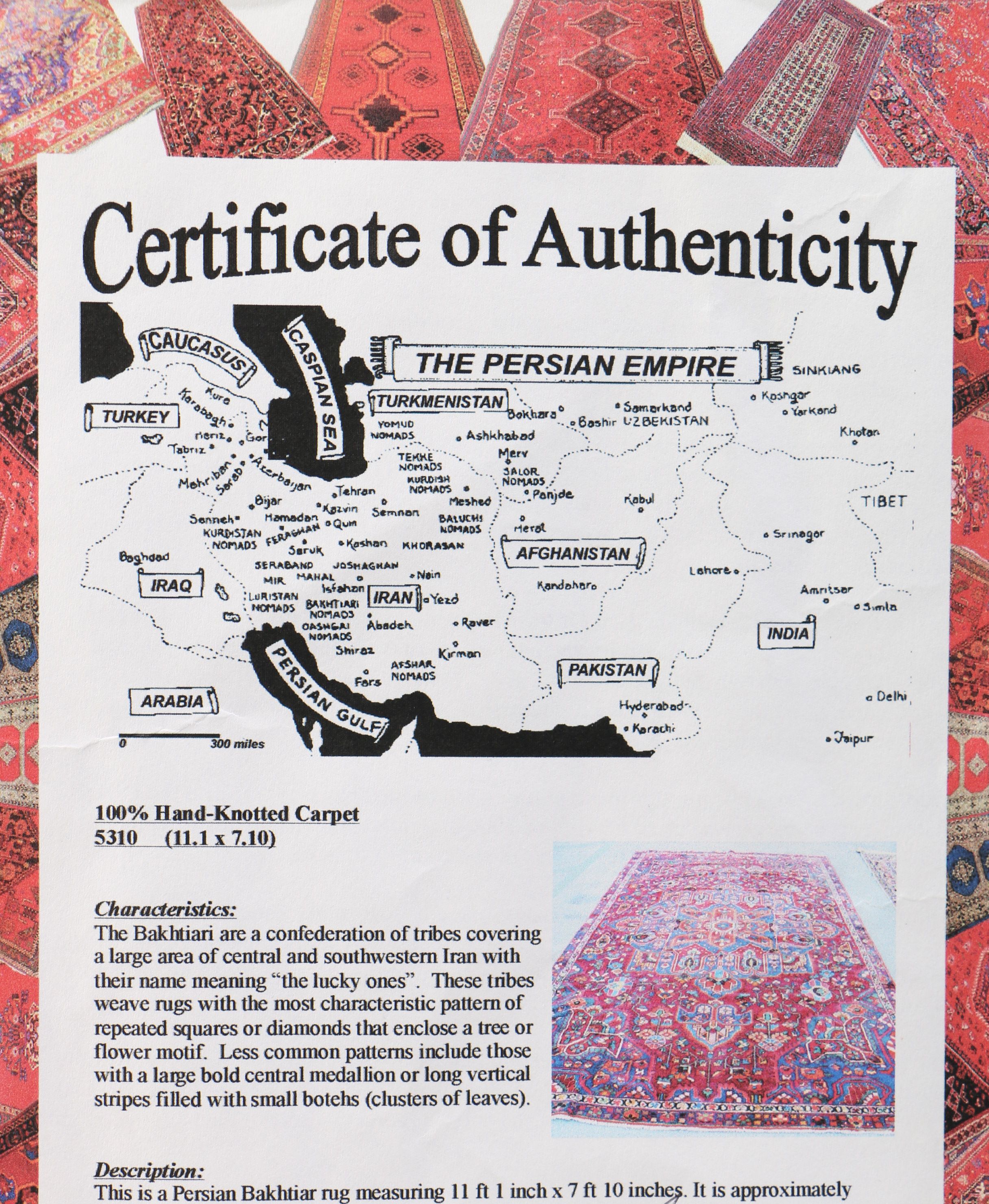 Hand-Knotted Persian Bakhtiari Area Rug