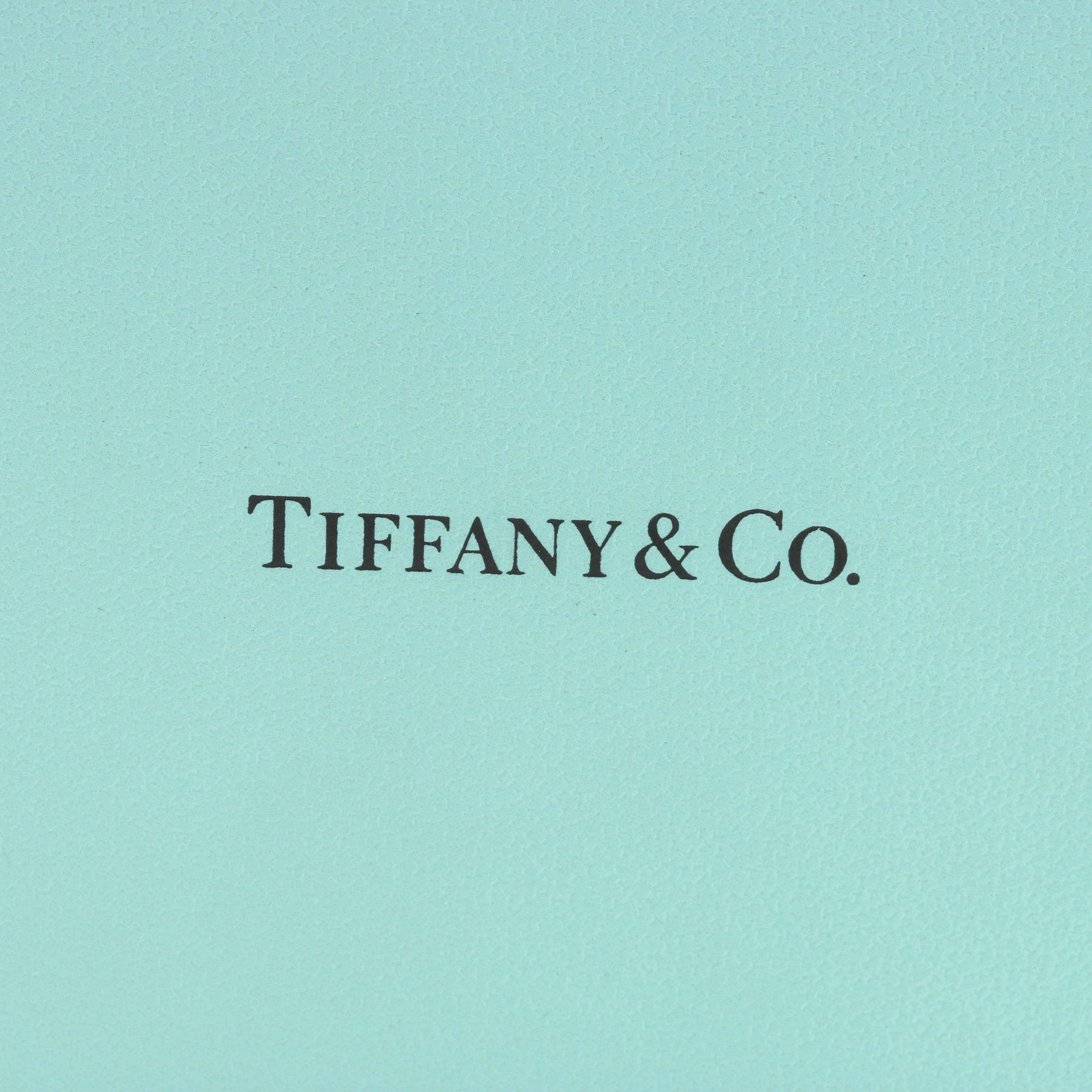 Tiffany & Co. Sterling Silver and Enamel Ladybug Charm