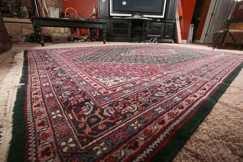 Hand-Knotted Bijar Wool Area Rug