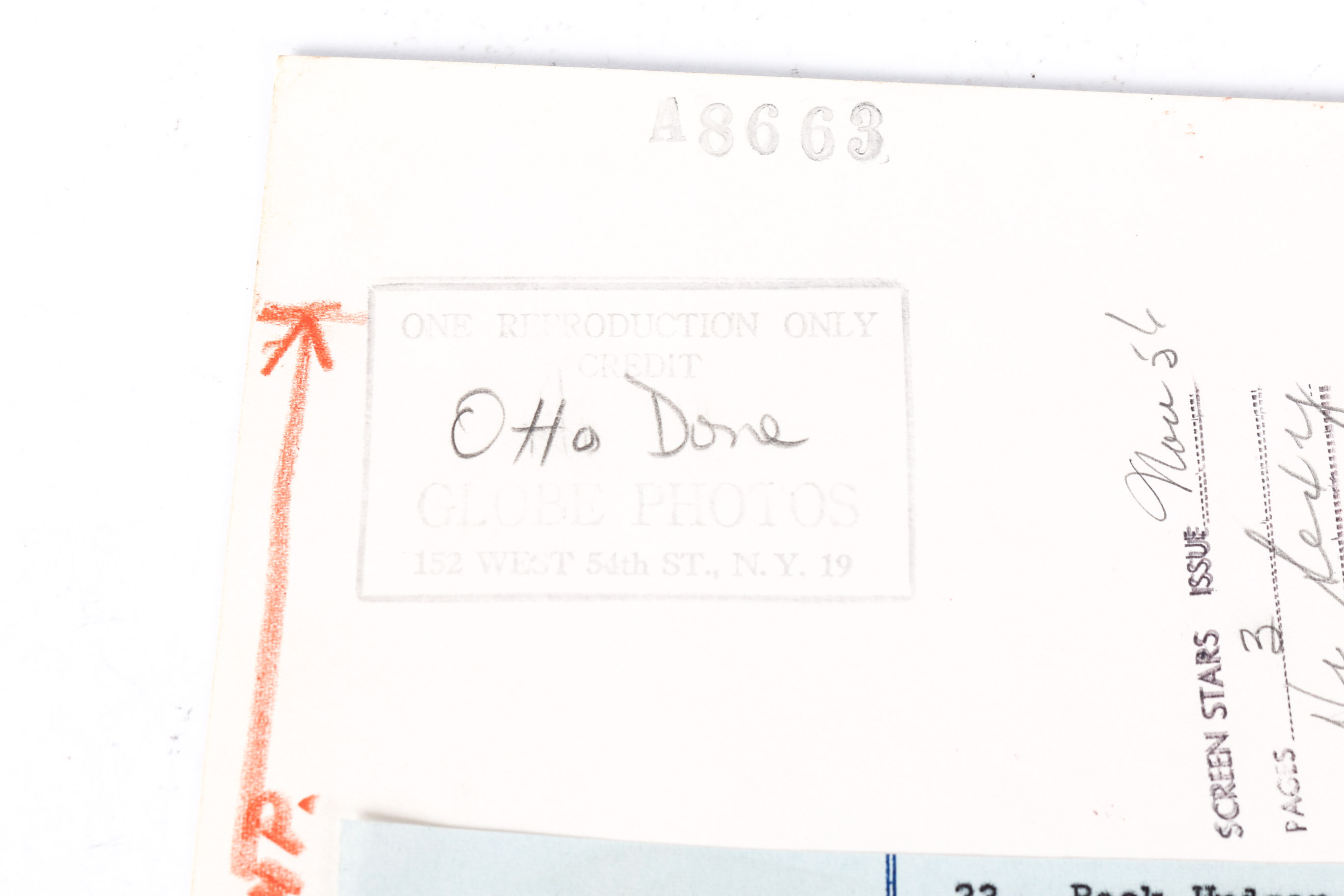 Vintage Hollywood Photographs including Rock Hudson and Other Stars