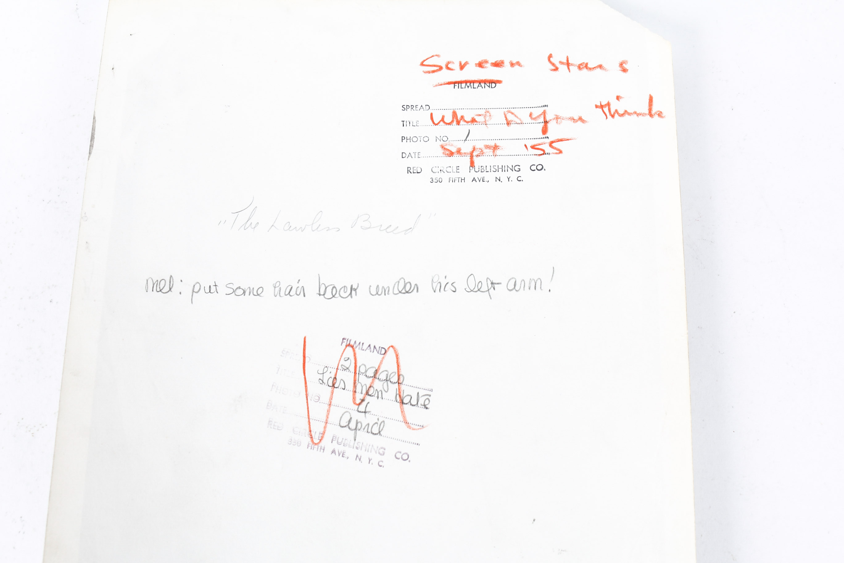 Vintage Hollywood Photographs including Rock Hudson and Other Stars