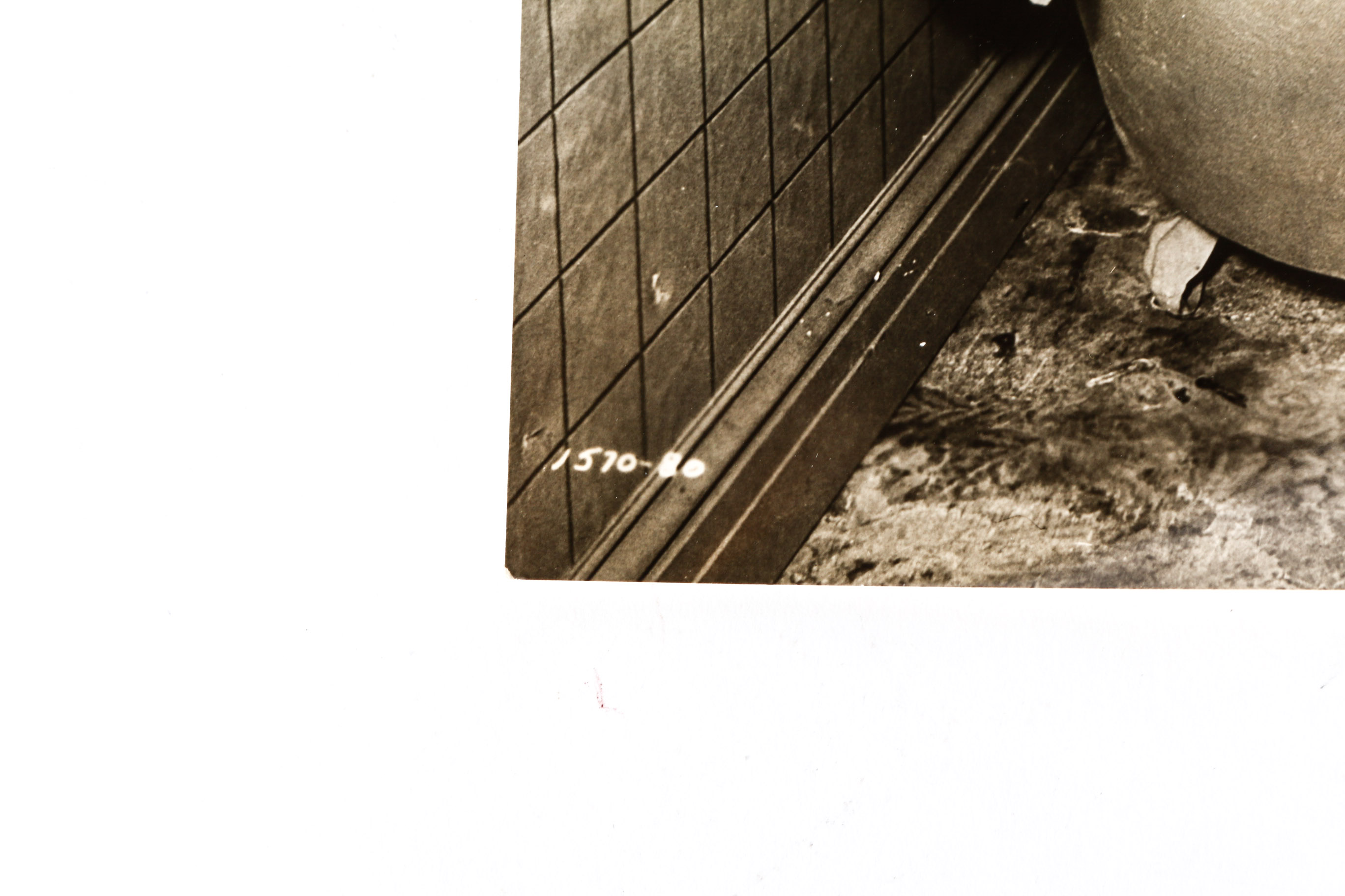 Vintage Hollywood Photographs including Rock Hudson and Other Stars