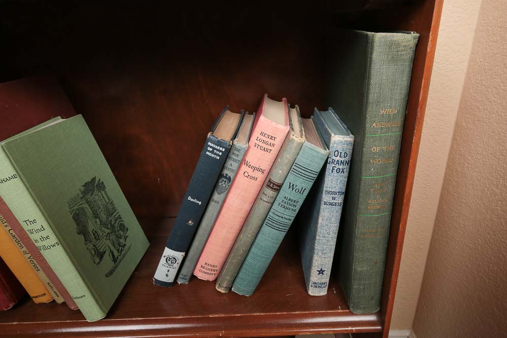 Vintage Bookshelf and Collection of Vintage Children's Books