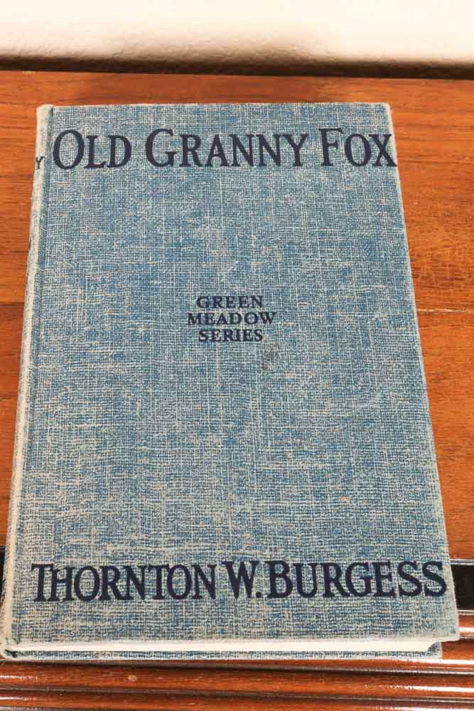 Vintage Bookshelf and Collection of Vintage Children's Books