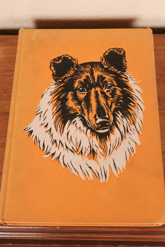 Vintage Bookshelf and Collection of Vintage Children's Books