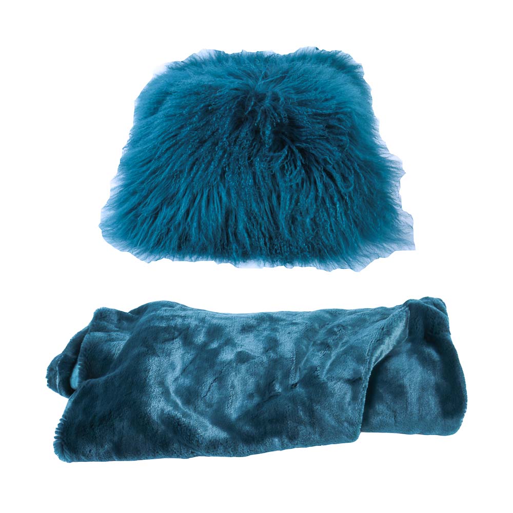 Z Gallerie Decorative Throw and Pillow Cover