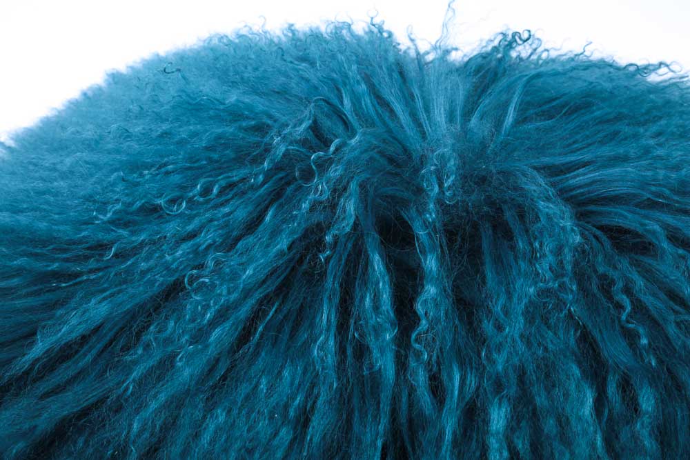 Z Gallerie Decorative Throw and Pillow Cover