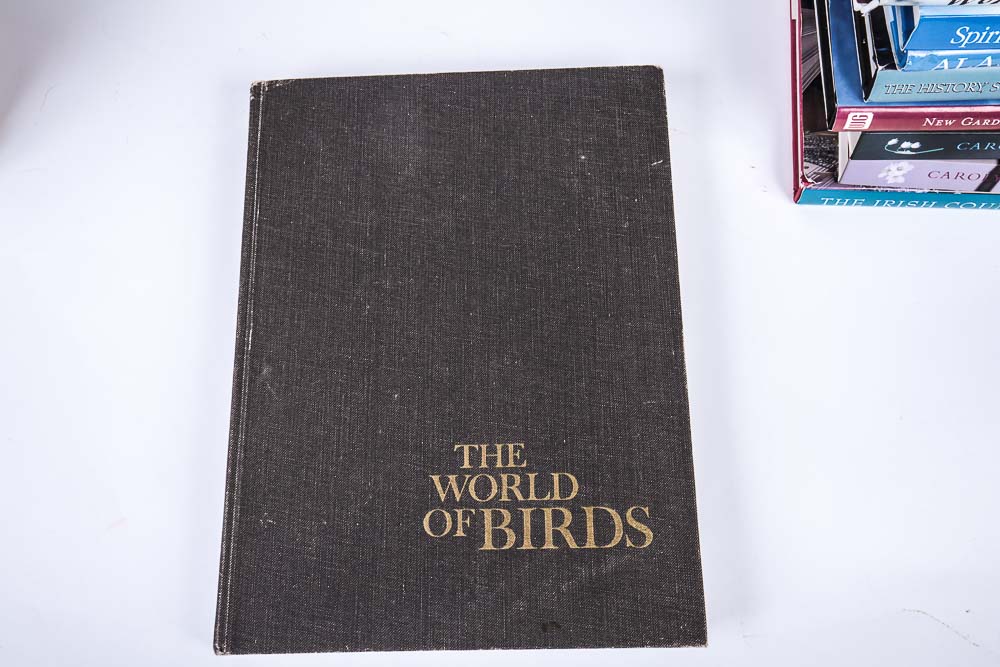 Collection of Coffee Table Books