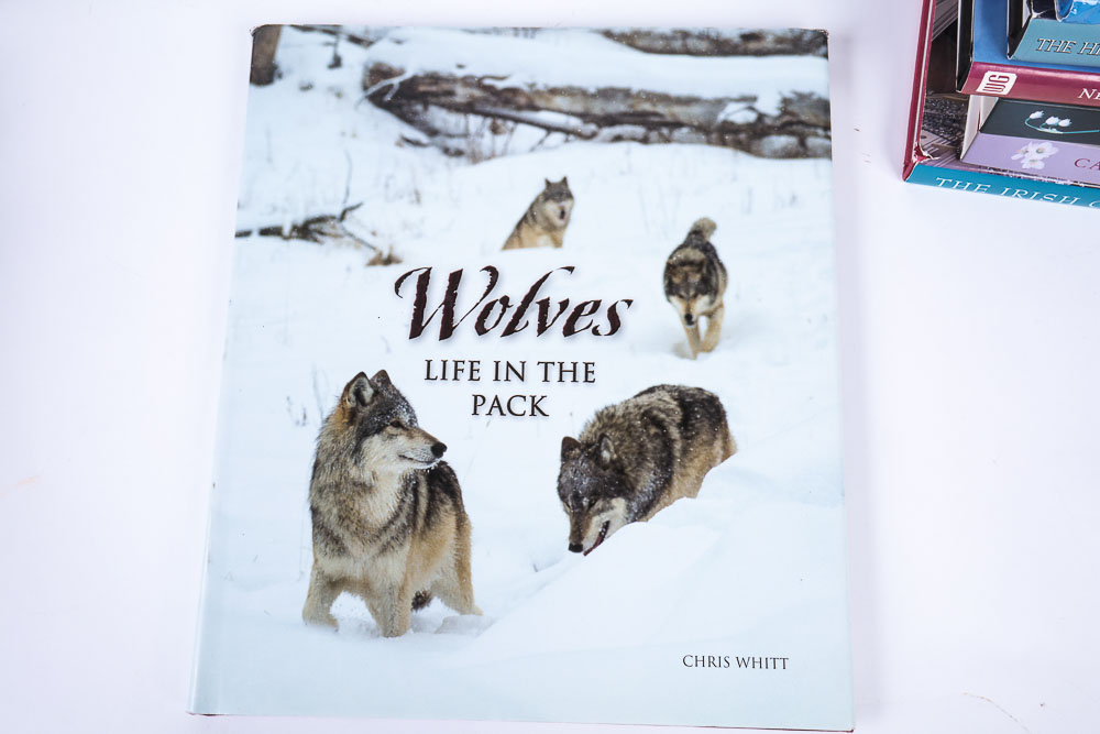 Collection of Coffee Table Books