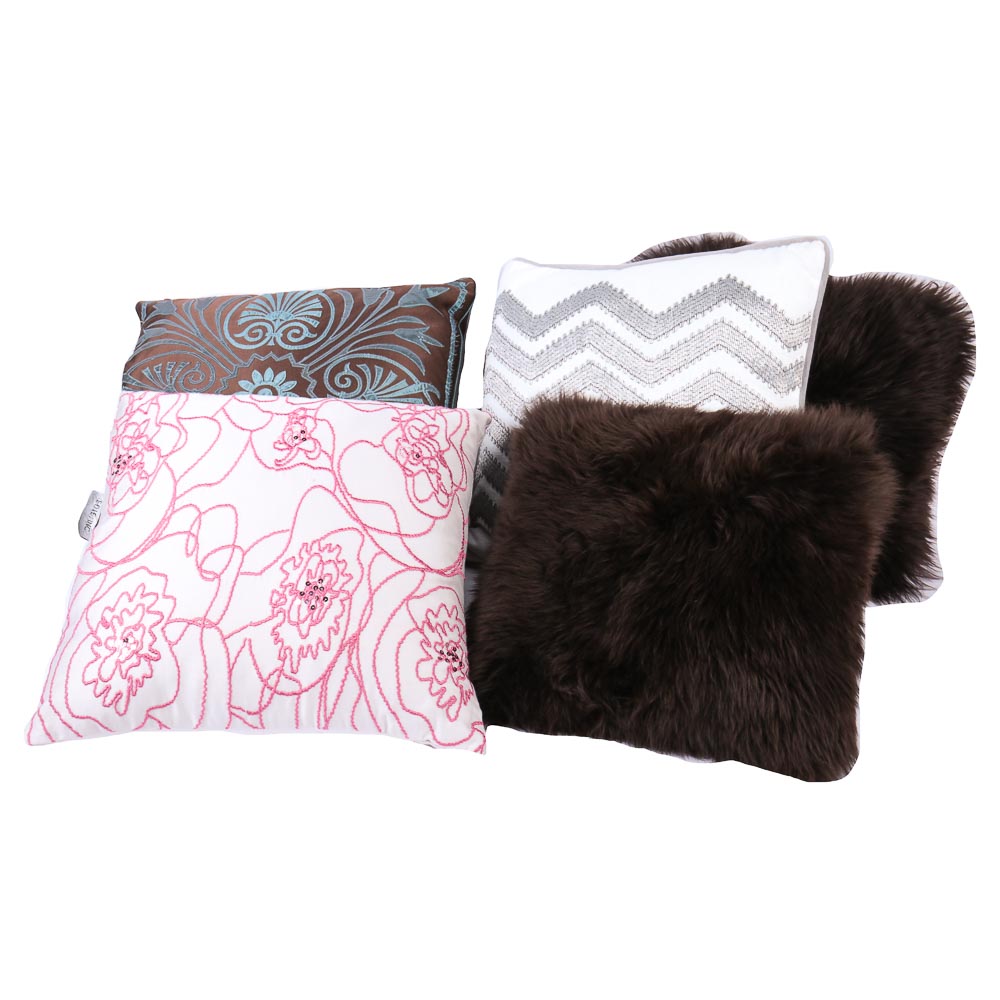 Variety of Decorative Accent Pillows