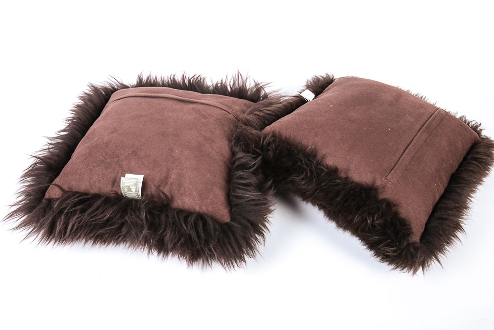 Variety of Decorative Accent Pillows