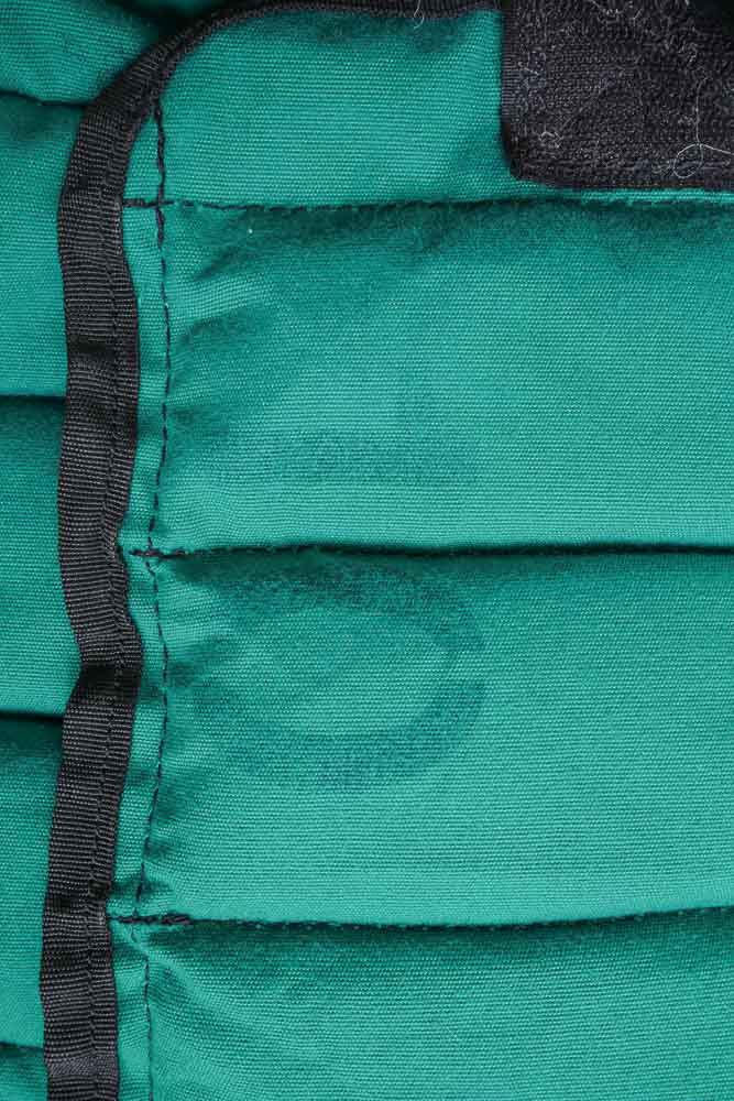 Free Weights and Exercise Equipment