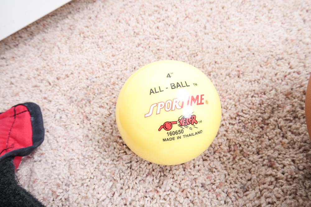 Free Weights and Exercise Equipment