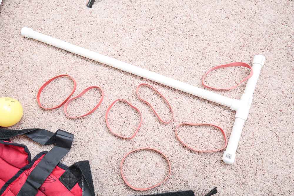 Free Weights and Exercise Equipment