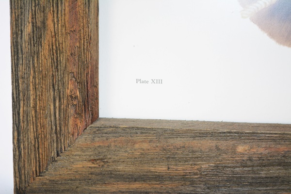 C. Don Ensor "Stubborn As" Signed Offset Lithograph