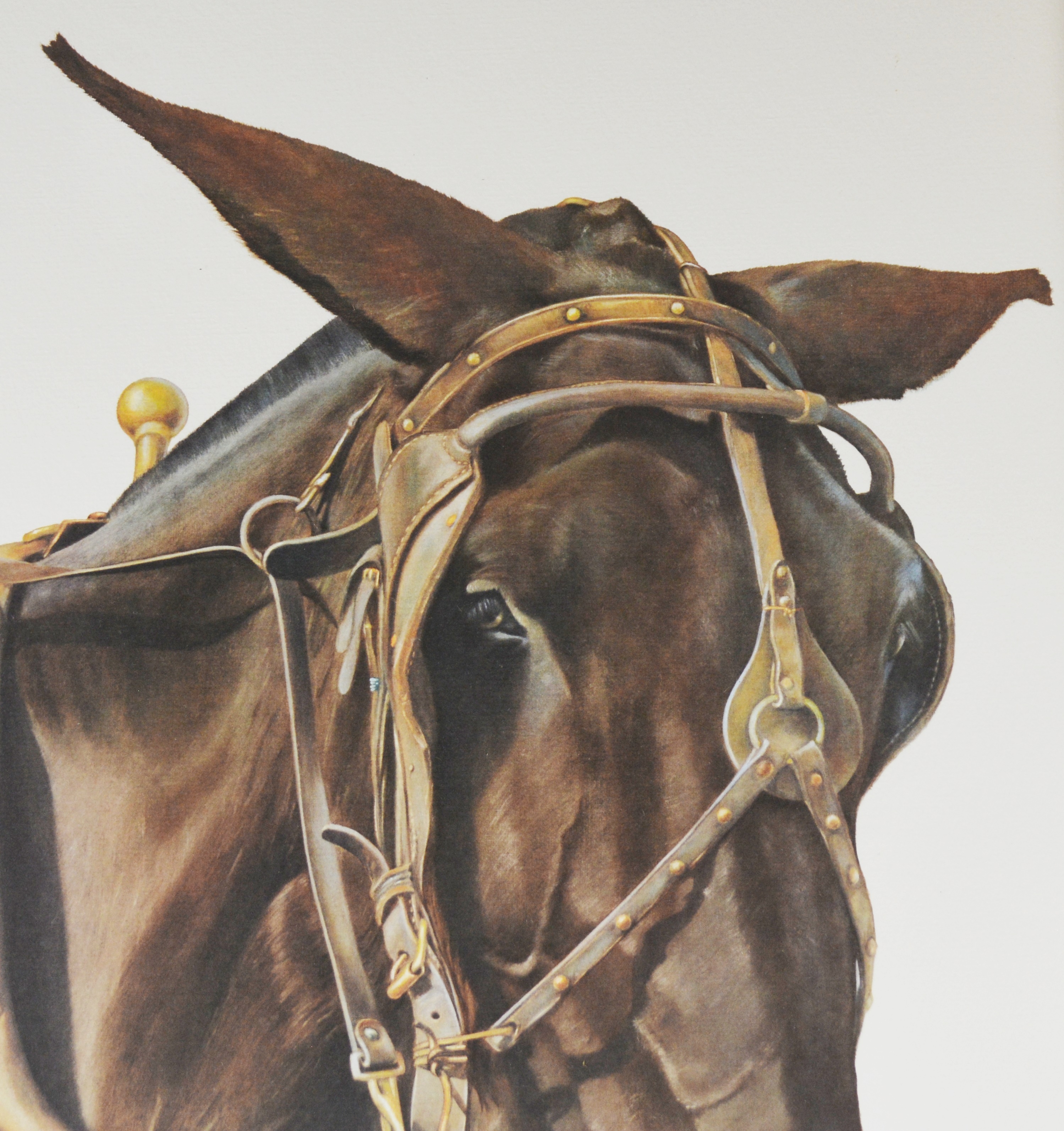 C. Don Ensor "Stubborn As" Signed Offset Lithograph