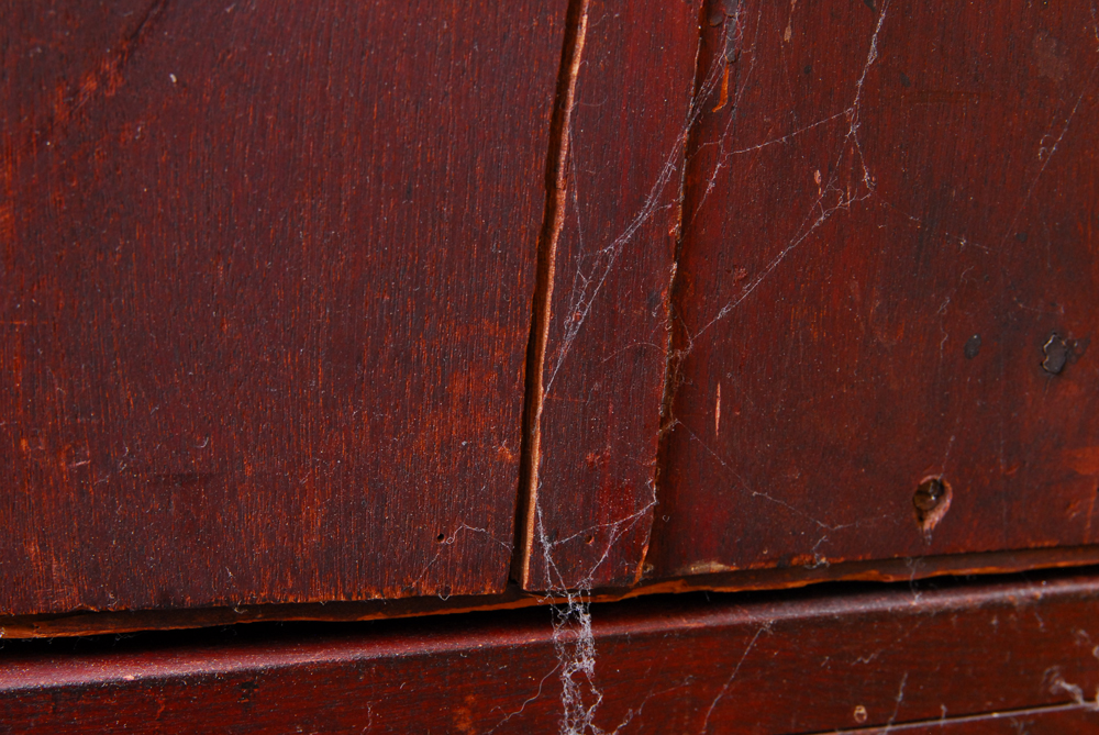 Chinoiserie Mahogany Cabinet