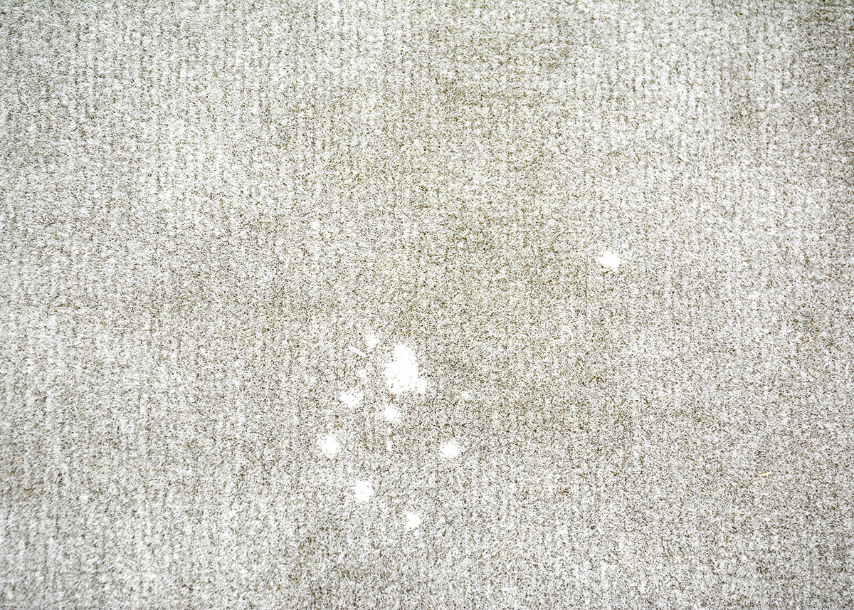 2007 Tan Toyota Prius Sedan