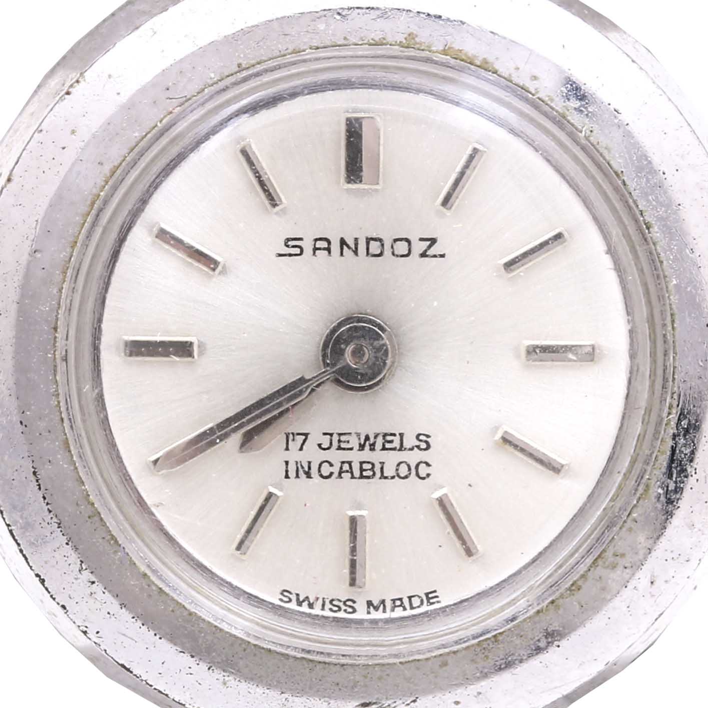 Sandoz Stainless Steel Swivel Watch
