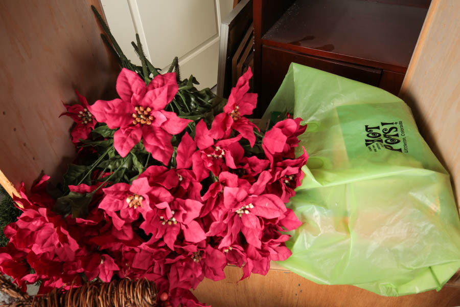 Collection of Christmas Decor