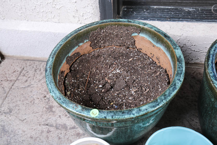 Collection of Garden and Patio Planters and Accessories