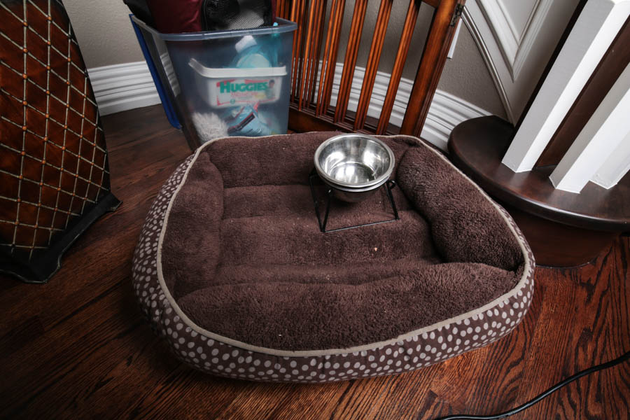 Assortment of Pet Care Items, Including Grooming Supplies