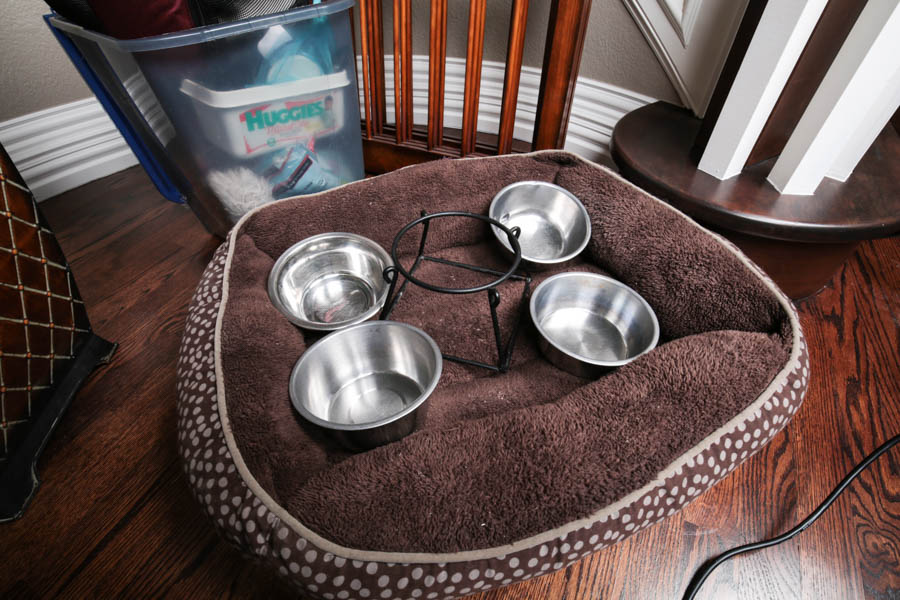 Assortment of Pet Care Items, Including Grooming Supplies