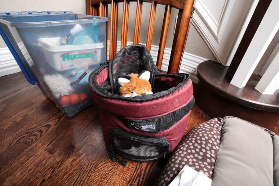 Assortment of Pet Care Items, Including Grooming Supplies