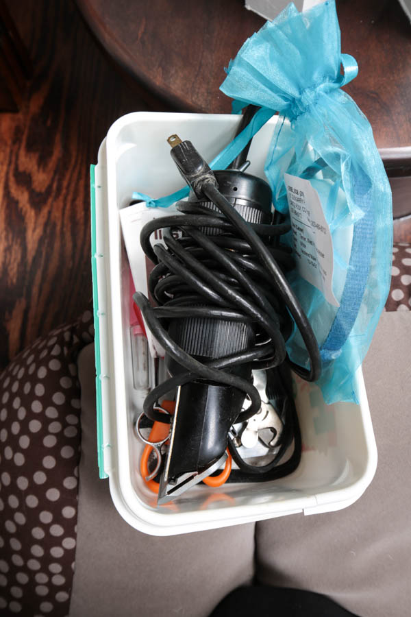 Assortment of Pet Care Items, Including Grooming Supplies