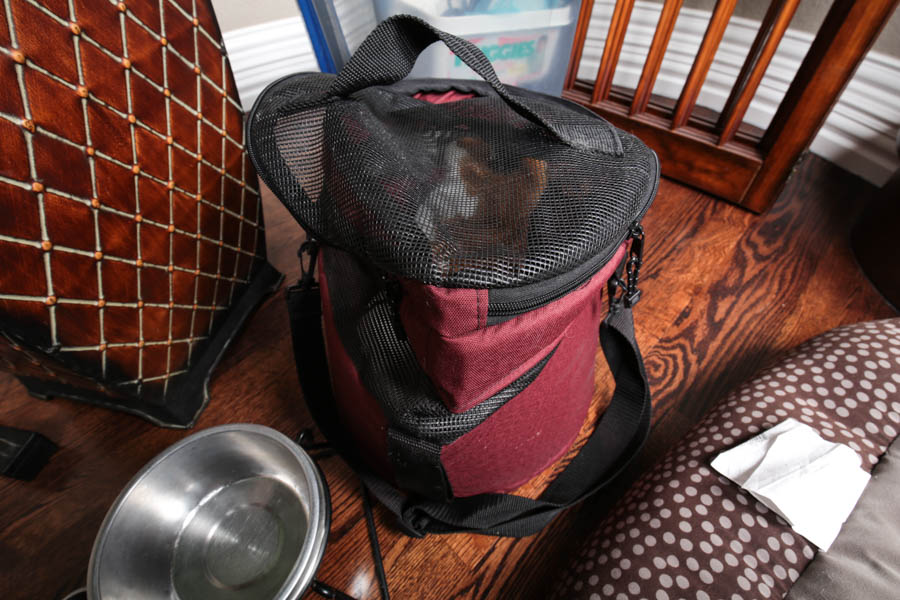 Assortment of Pet Care Items, Including Grooming Supplies