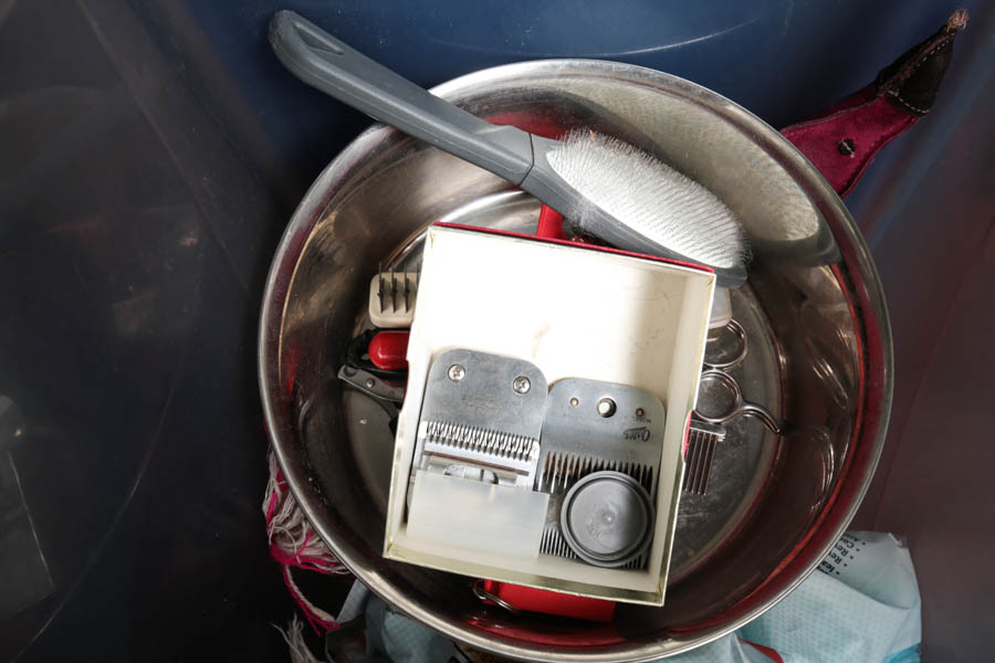 Assortment of Pet Care Items, Including Grooming Supplies