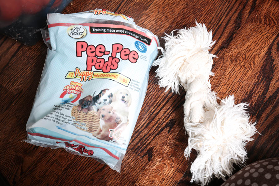 Assortment of Pet Care Items, Including Grooming Supplies