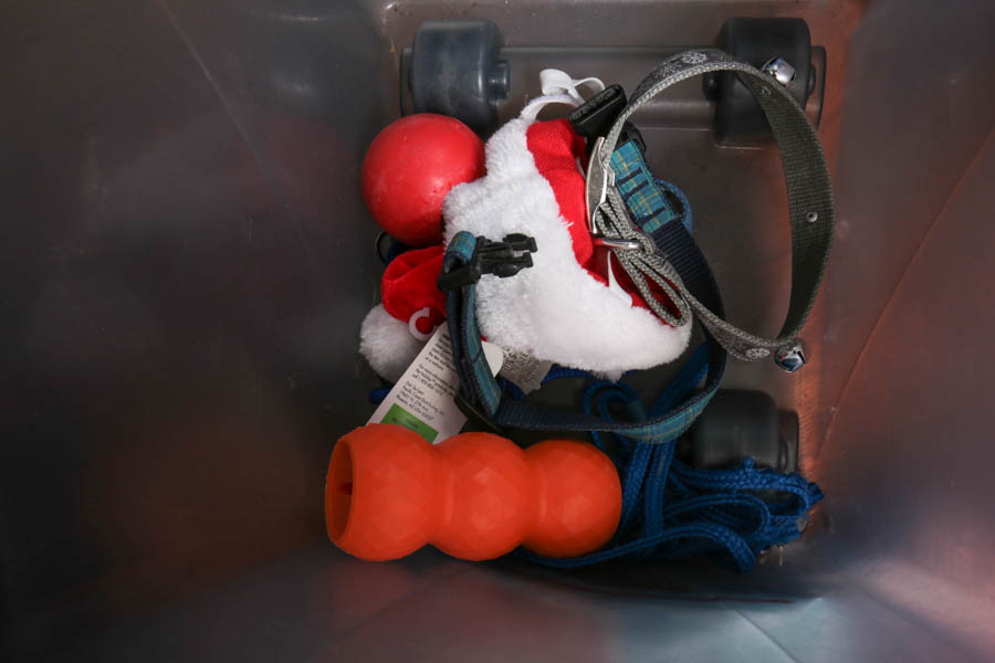 Assortment of Pet Care Items, Including Grooming Supplies