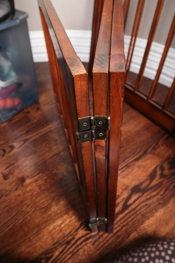 Assortment of Pet Care Items, Including Grooming Supplies